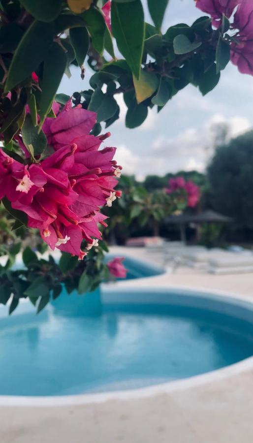 Bed and Breakfast Out Of Medina Essaouira Exterior foto