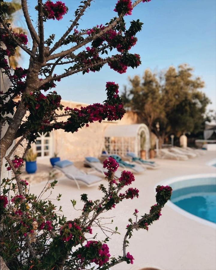 Bed and Breakfast Out Of Medina Essaouira Exterior foto